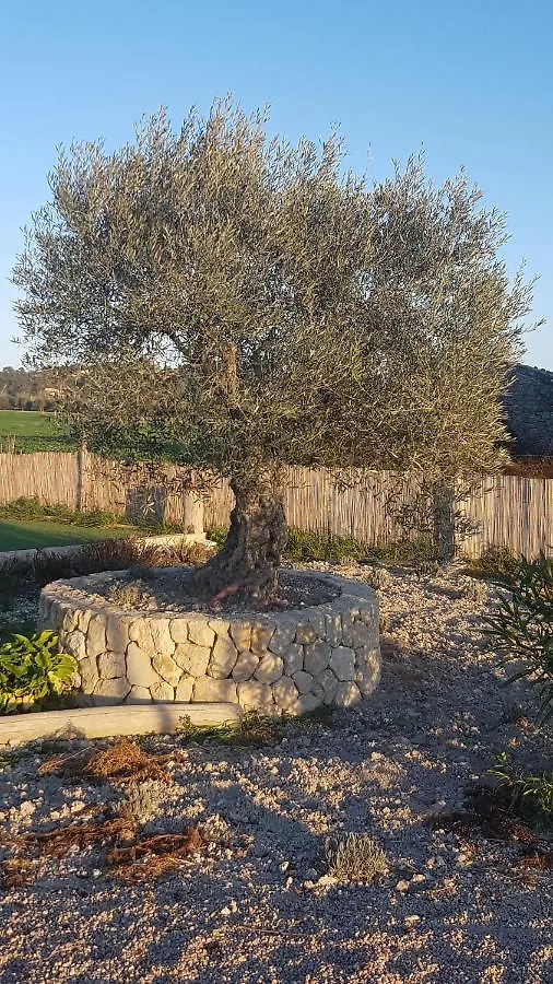 Finca Son Miro